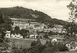 Remiremont. - Sapin le Roy et le Parmont